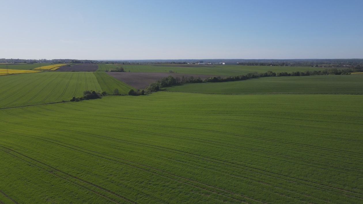 Aerial View of Lush Green Farmlands in Spring Free Stock Video Footage ...