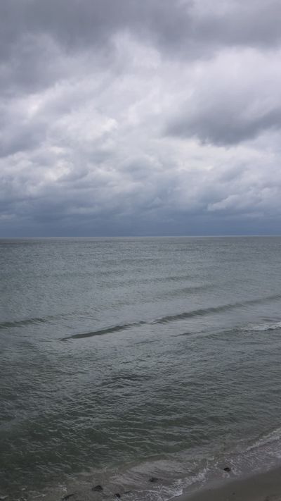 Levent Yucelman's nature timelapse video