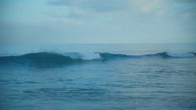 serene surfing scene at dreamland beach