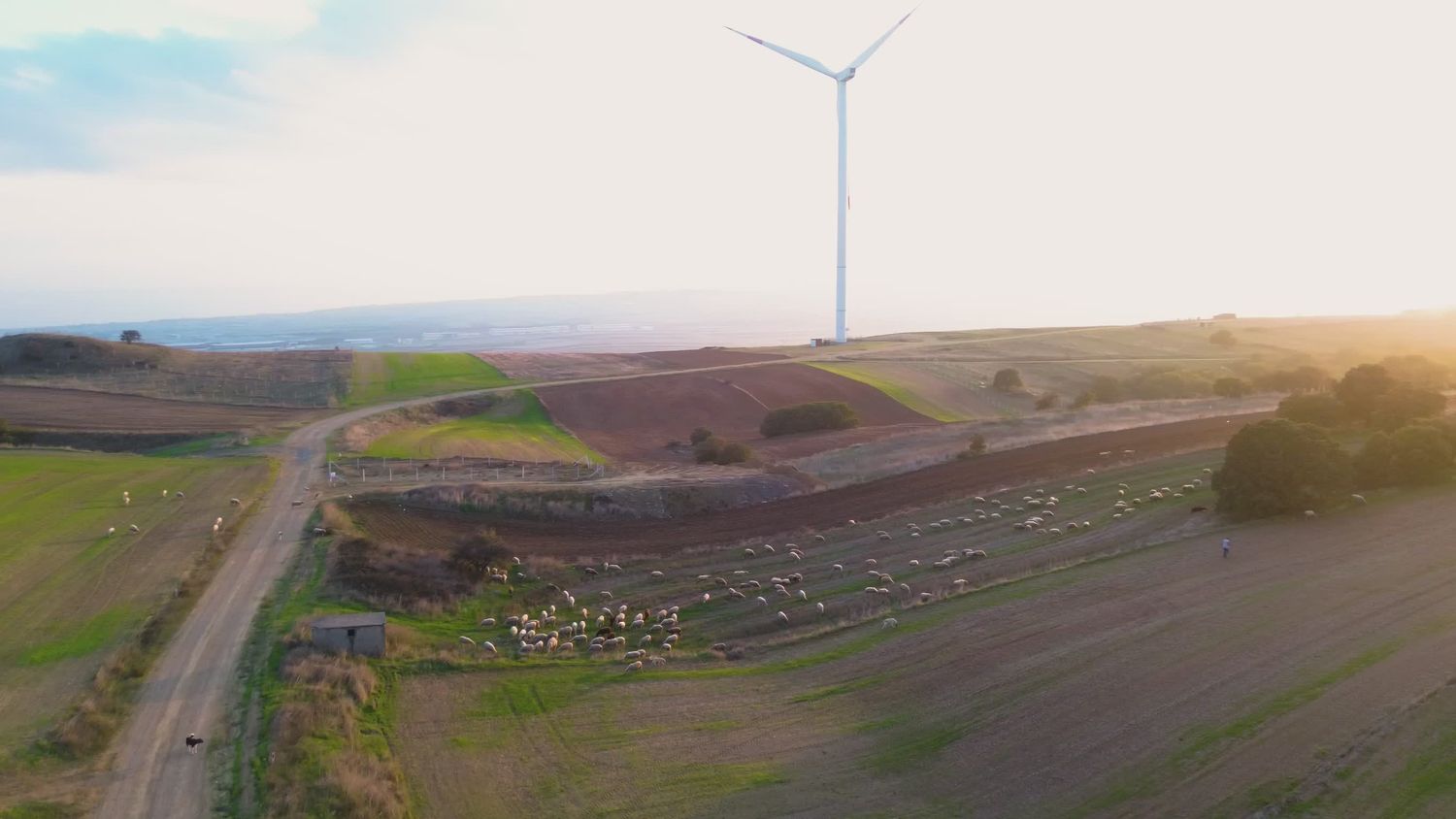 Wind Animation Videos, Download The BEST Free 4k Stock Video Footage ...