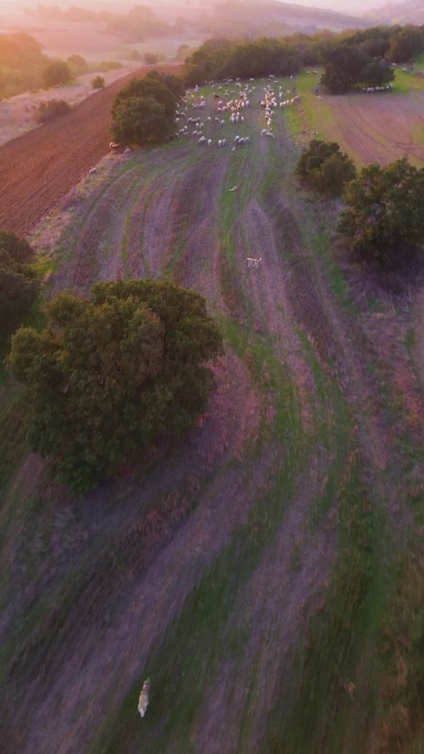 Landscape View Video Landscape Aerial View Videos, Download The BEST Free 4k Stock Video ...