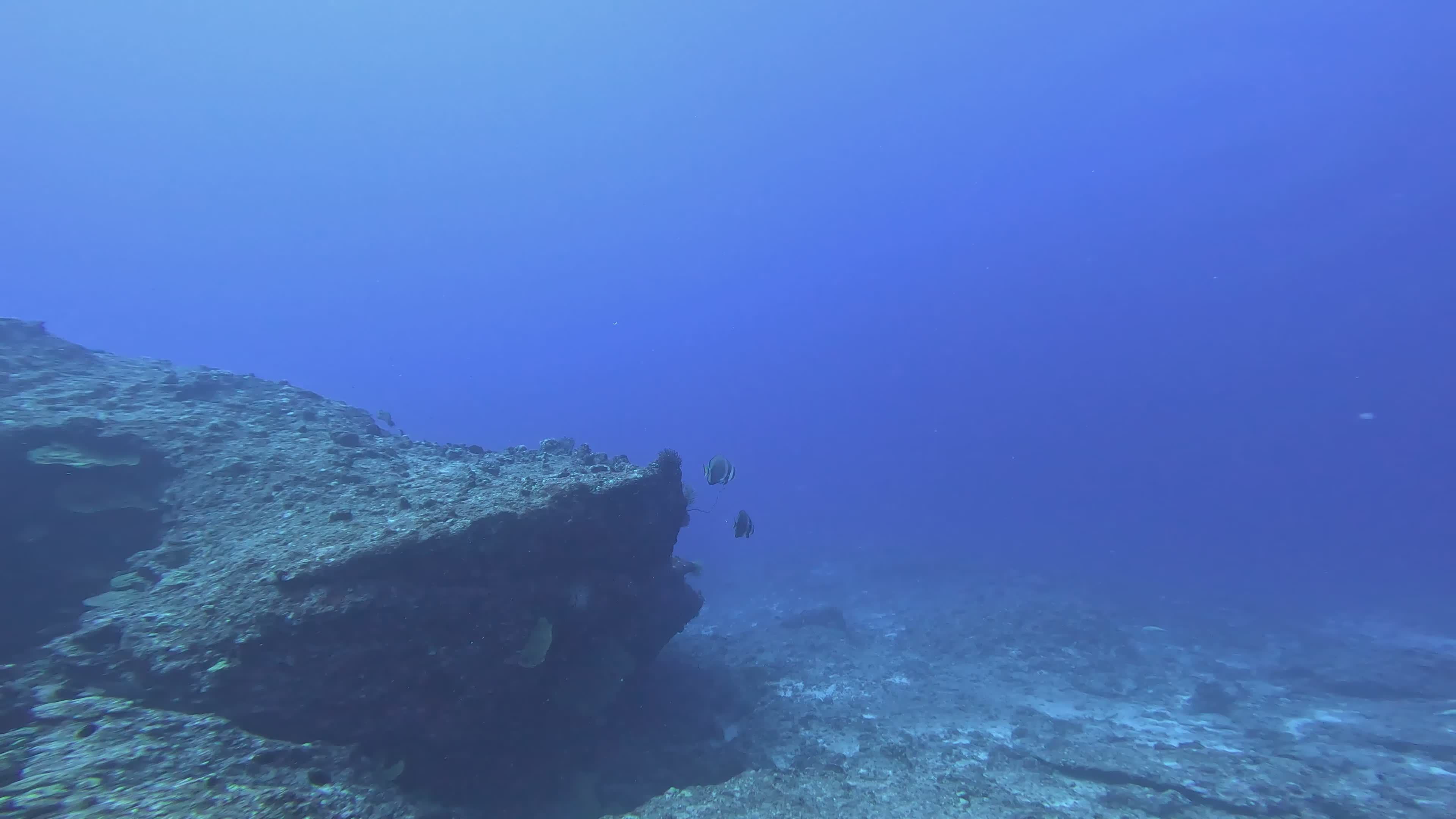 Explore the Tranquil Underwater World Free Stock Video Footage, Royalty ...