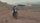 royal enfield himalayan