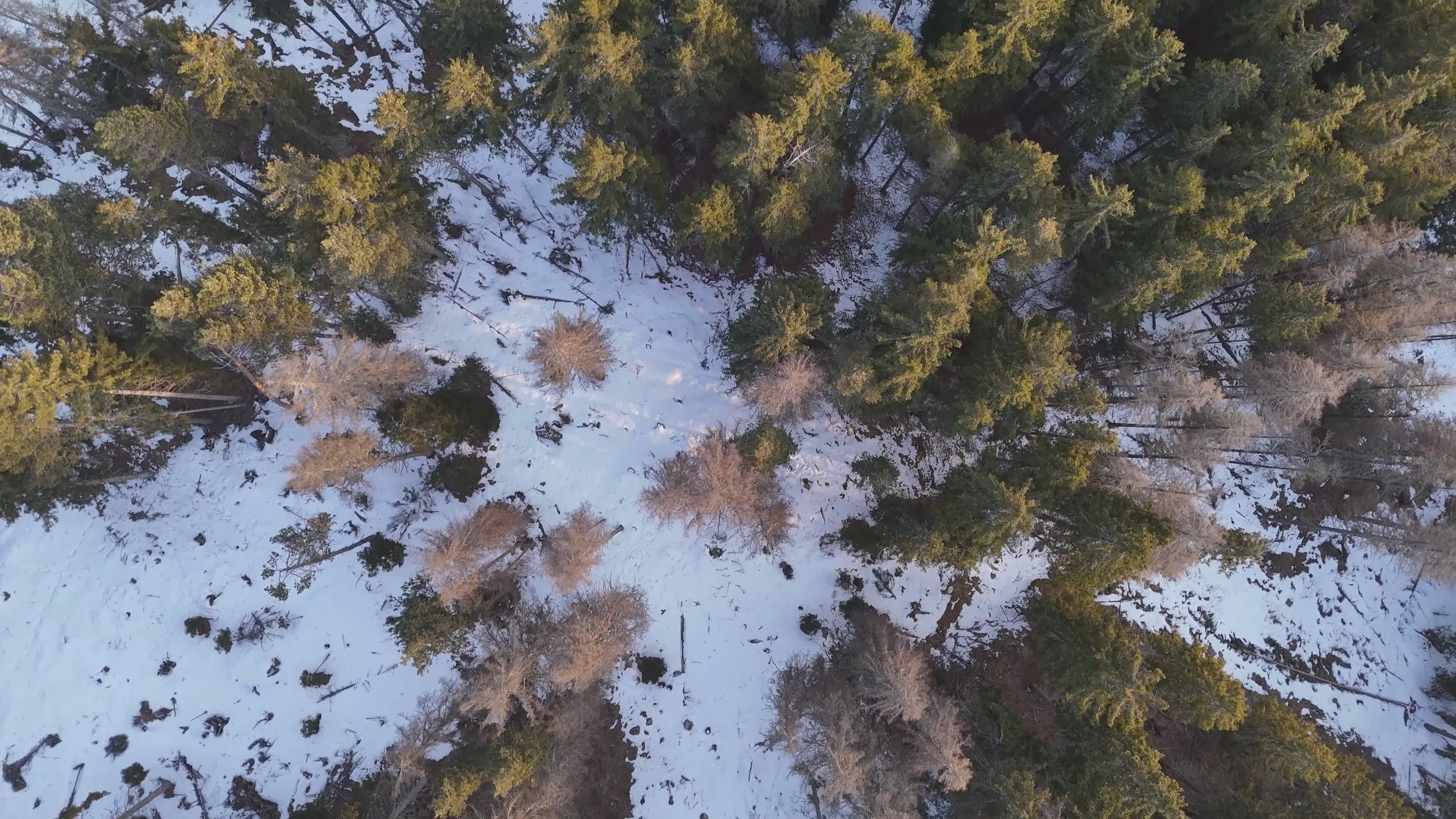 Aerial View of Snowy Forest and Winding Road Free Stock Video Footage ...
