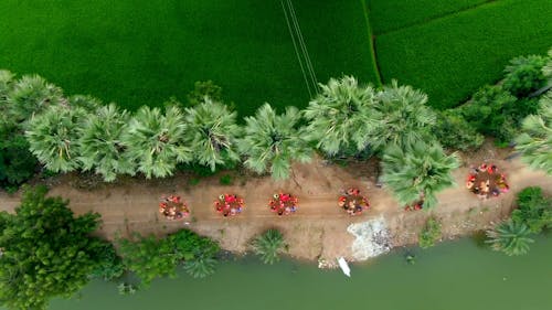 無料の動画素材 Pexels動画