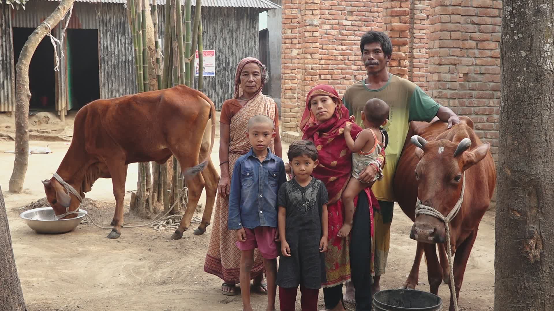 Rural Family with Cows in Traditional Village Free Stock Video Footage ...