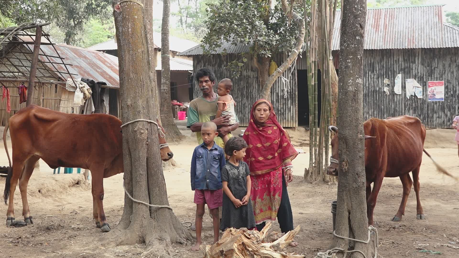Rural Family and Cattle in Village Setting Free Stock Video Footage ...