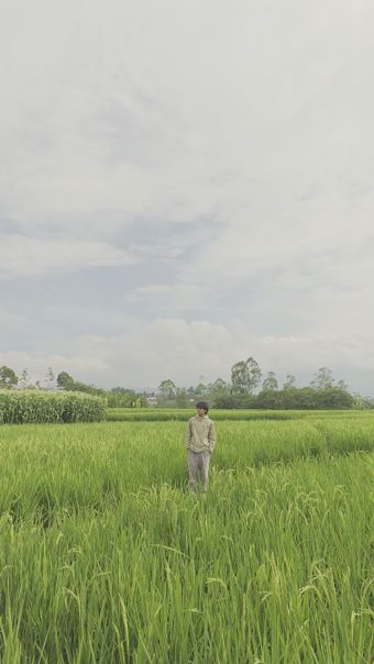 袁隆平免费下载视频素材