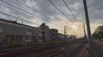 学生高清视频免费下载视频素材