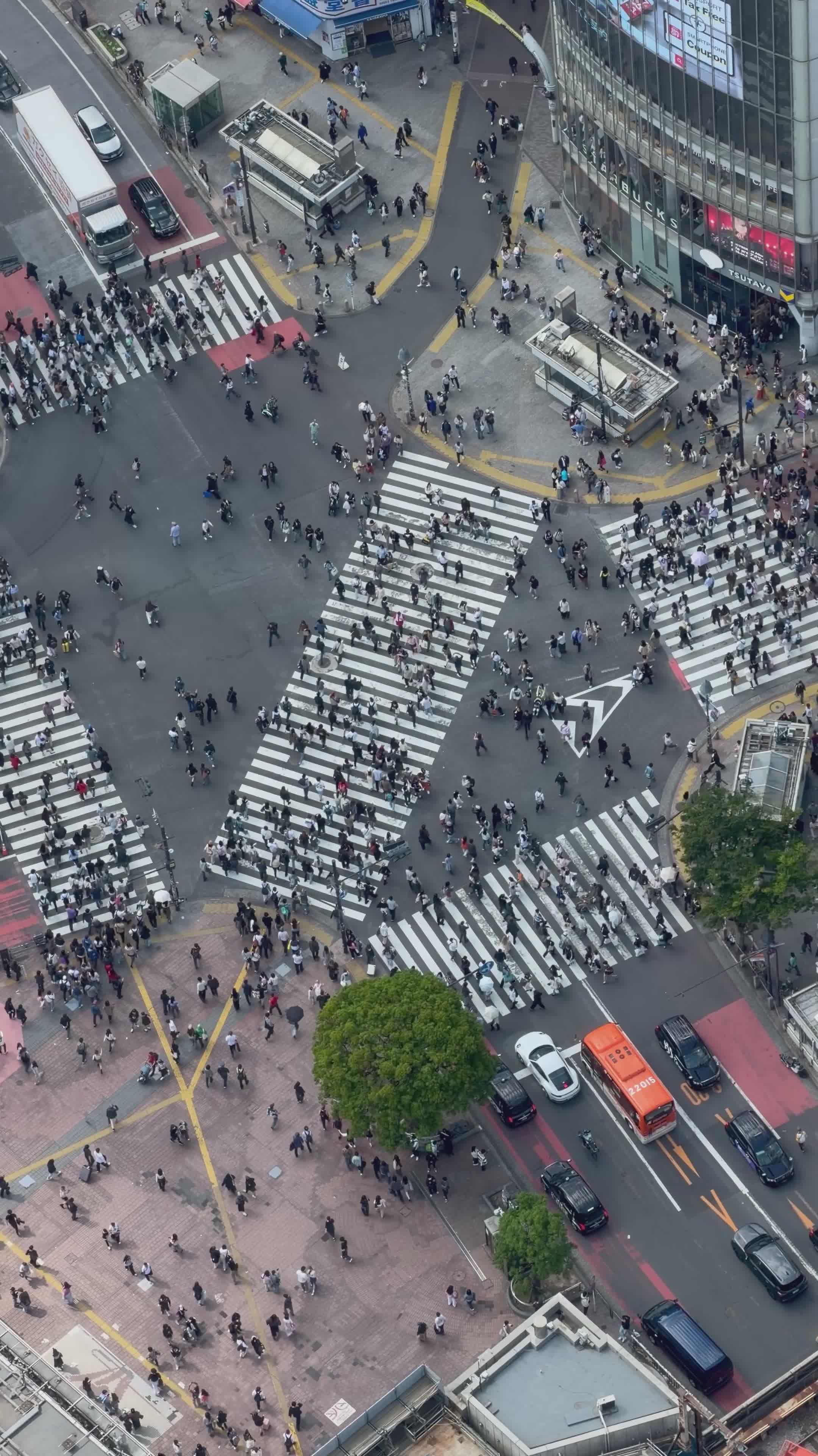 Aerial View of Shibuya Crossing in Tokyo Free Stock Video Footage ...