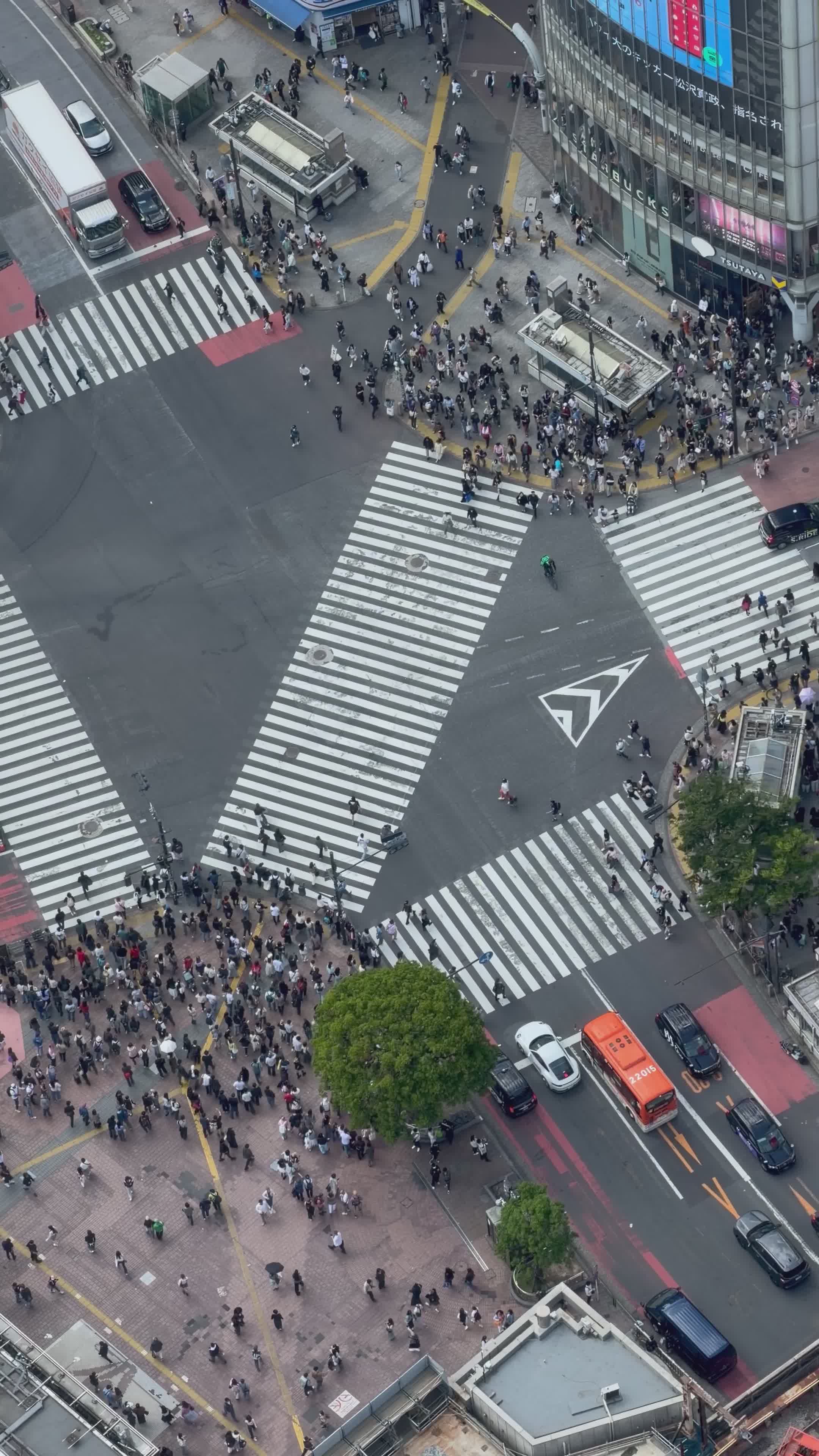 週末はここへ
🎥 Stephan Leuzinger · Pexels
#日本 #旅行 #絶景 #風景 #japan