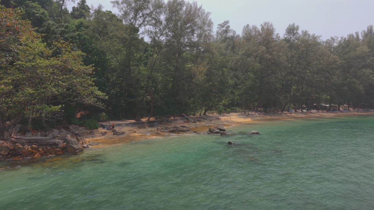 Serene Tropical Beach with Lush Greenery Free Stock Video Footage ...