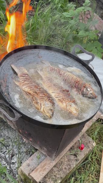 农村🍳视频素材
