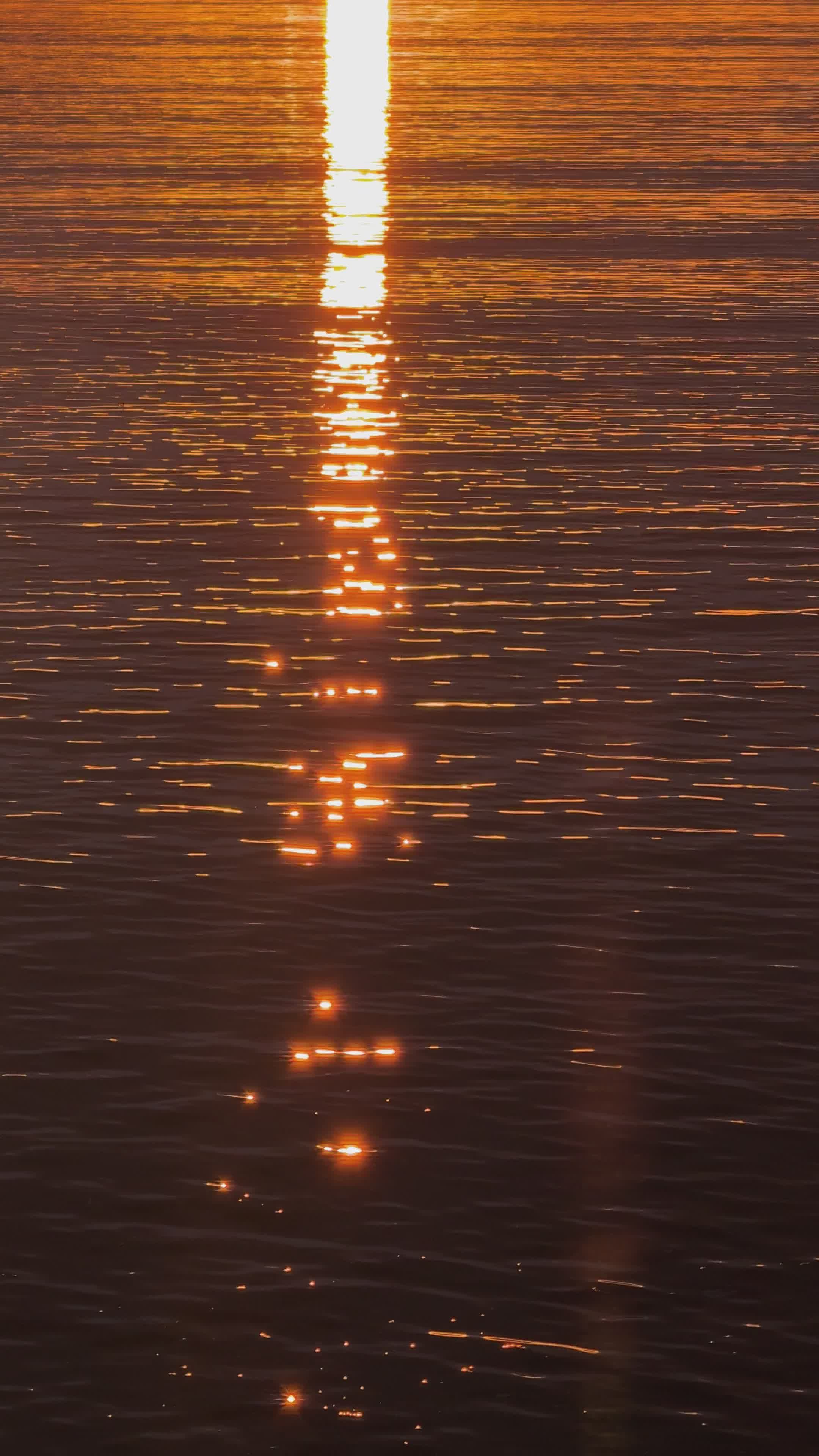 Golden Sunlight Reflecting on Calm Water Free Stock Video Footage ...