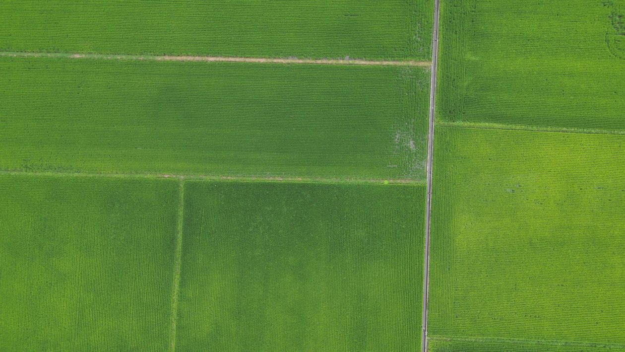 Aerial View of Lush Green Farmland Fields Free Stock Video Footage ...