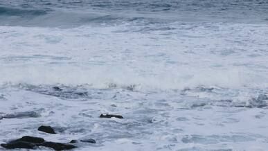tranquil ocean waves crashing on rocks