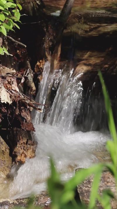 Gizem Gökce's nature timelapse video