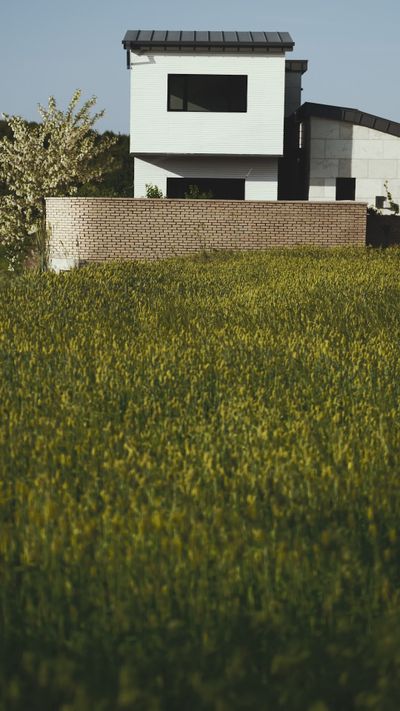 정규송 Nui MALAMA's architecture modern video