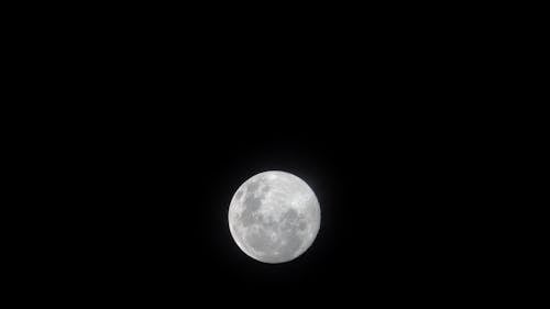 Der Helle Vollmond Gibt Licht In Der Dunkelheit Der Nacht