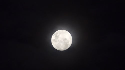 Super blue moon in the night sky - Free HD Video Clips & Stock Video  Footage at Videezy!