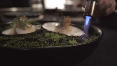 a person burning sprigs of rosemary with a torch