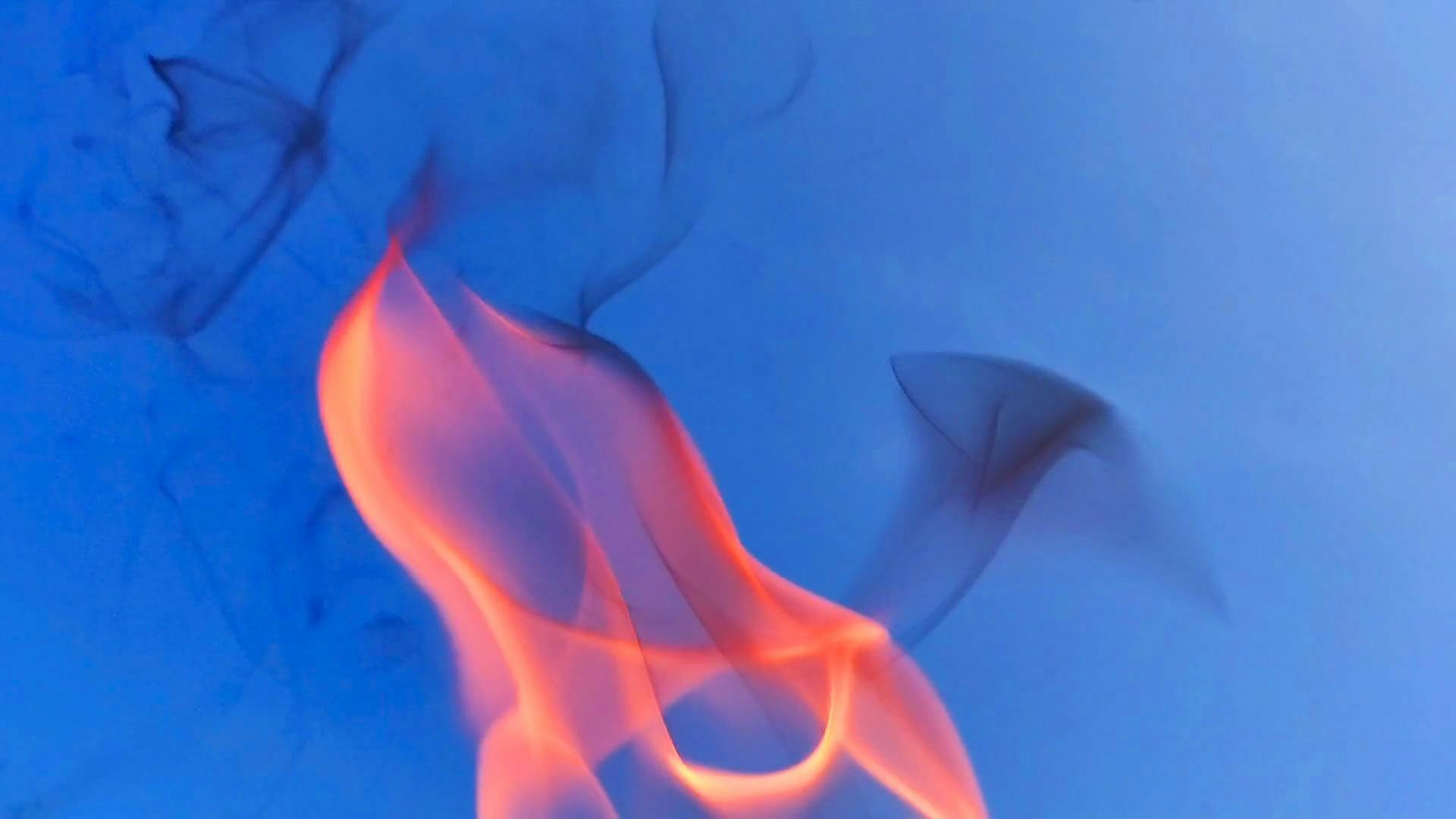 500+ Amazing Fire Videos · Pexels · Free Stock Videos