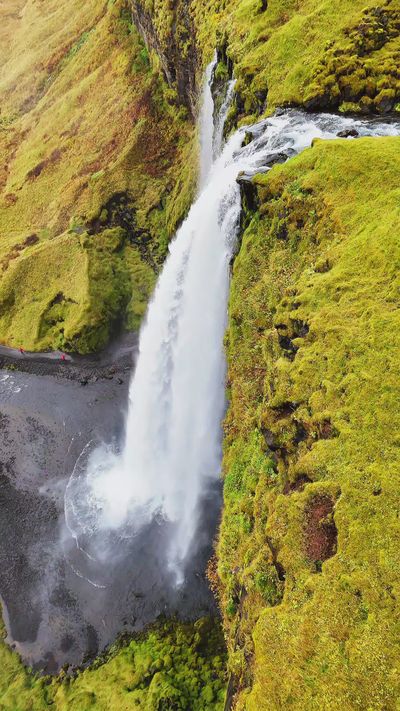 Veronika Benz's nature timelapse video
