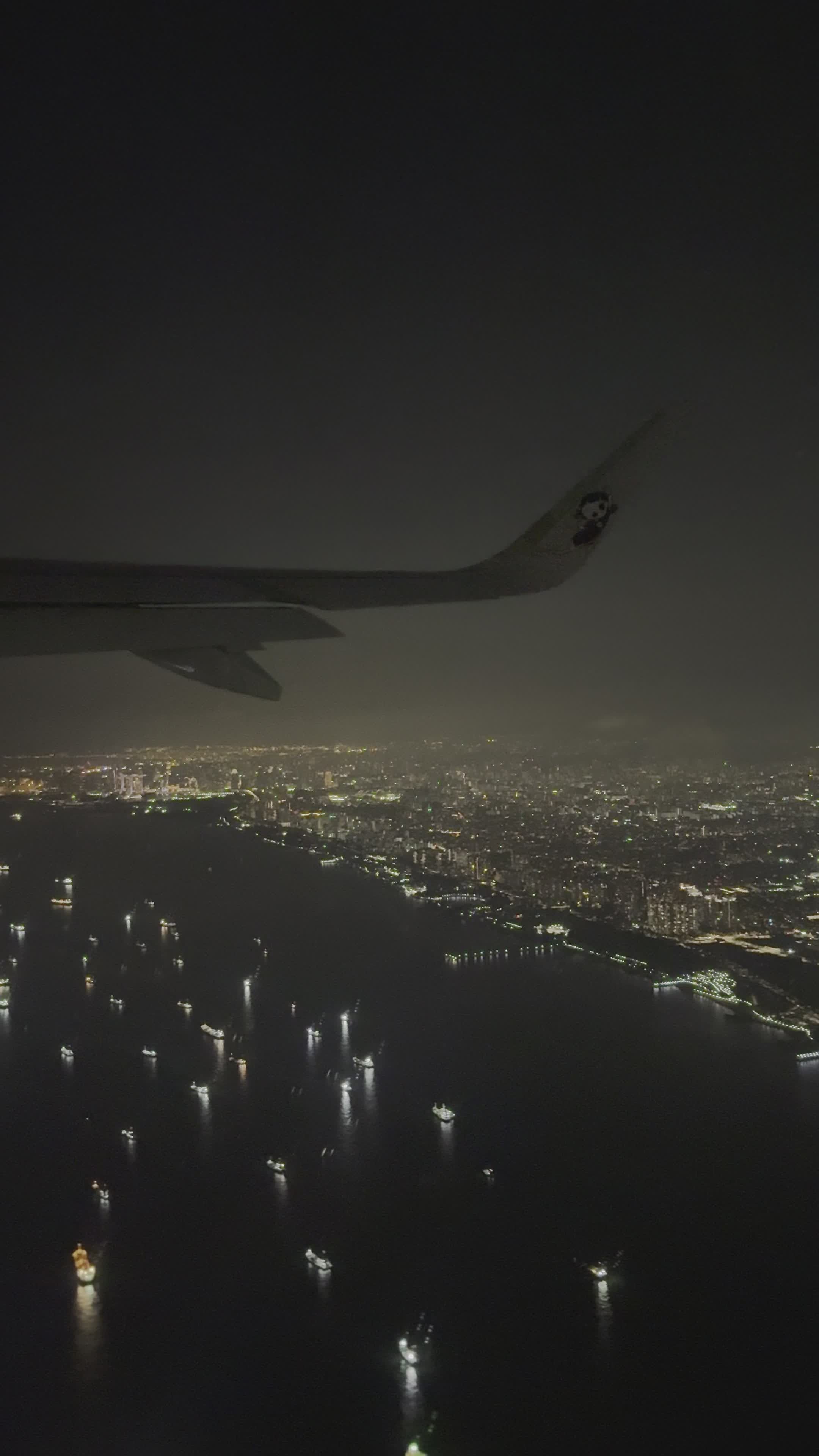 Vue Aérienne Nocturne de la Ville depuis un Avion · Vidéo gratuite