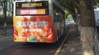 马路免费下载免费下载视频素材免费下载视频素材