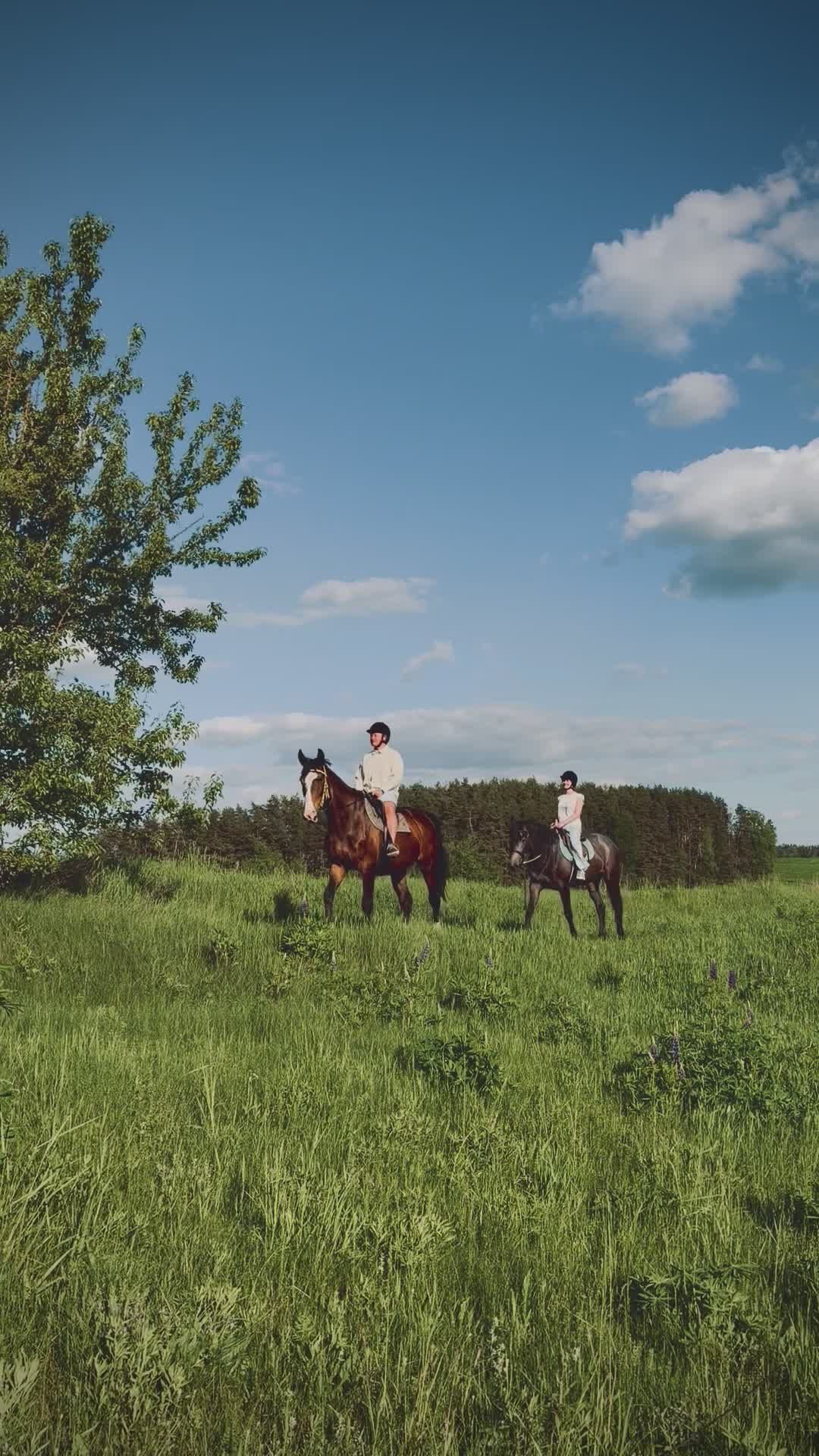 Horseback Riding in Peaceful Countryside Free Stock Video Footage ...