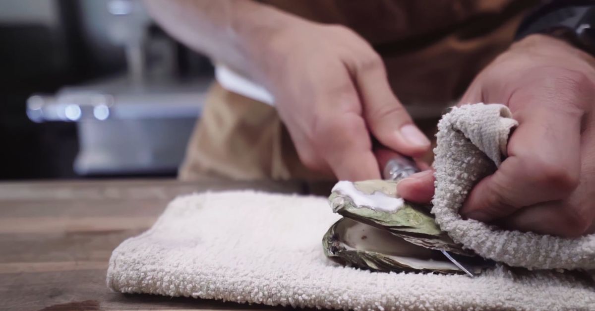 Opening A Shell Person Opening A Shell Of Mollusk Free Stock Video Footage, Royalty ...