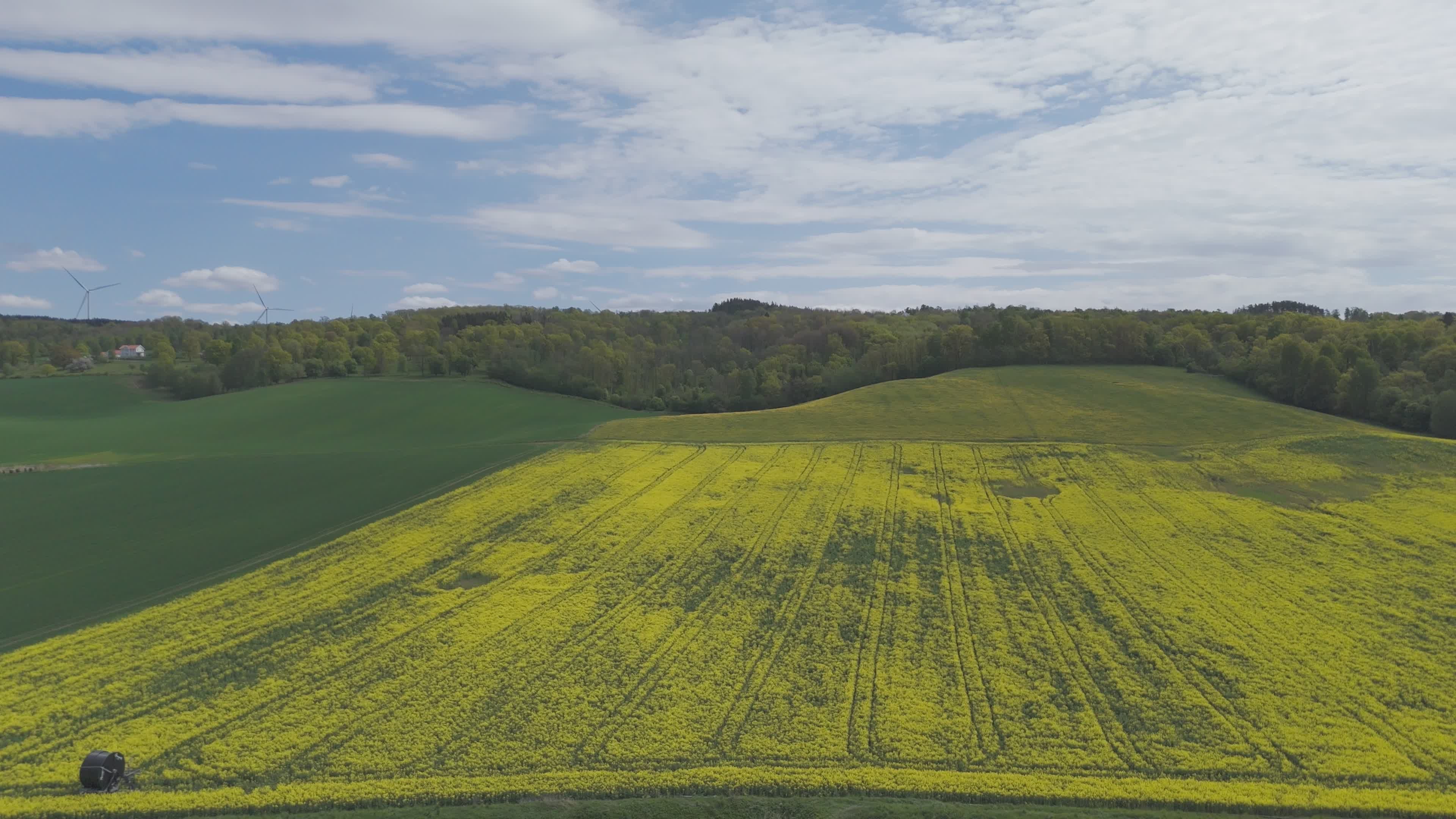 aerial view of lush green and yellow farmland 37815637
