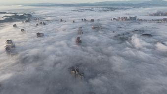 哈尔滨景色视频素材视频素材视频素材