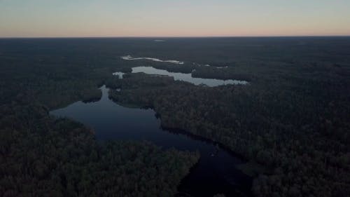 Drone Nagrania Rzeki W Lesie