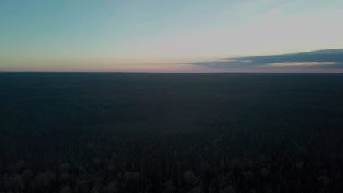 Ein Riesiges Land Mit Dichtem Wald Bedeckt