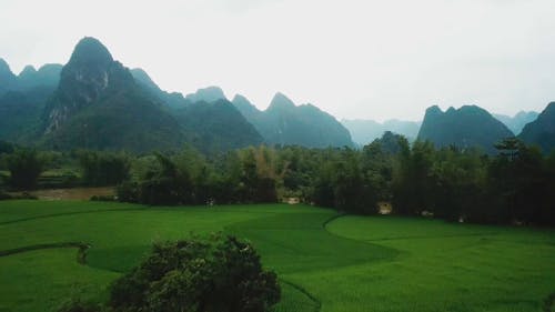 Imagens De Drones De Terras Agrícolas Verdes