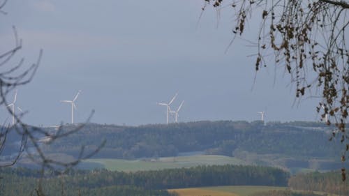 A Long Shot of Wind Turbines