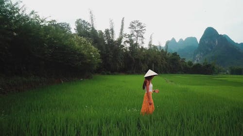 Woman Walking Alone In The Middle Of The Farm