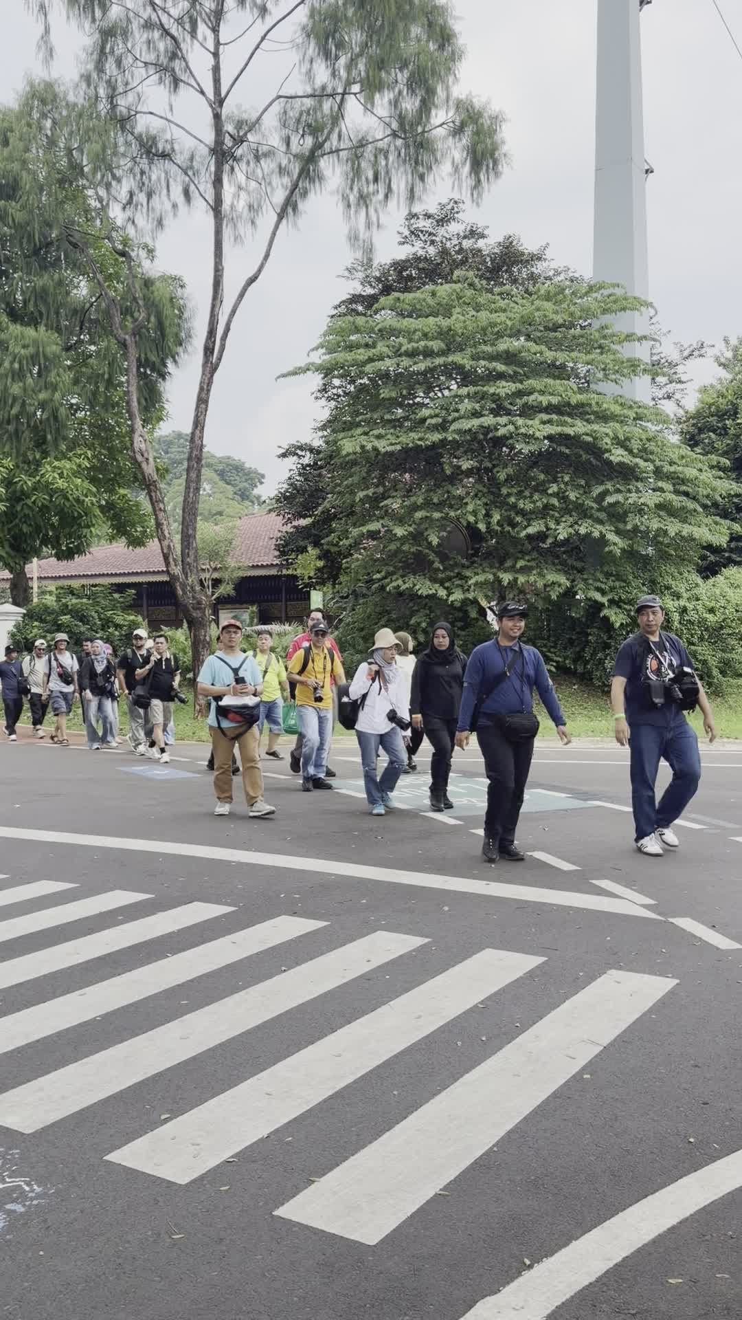 Group Crossing Street in Urban Park Setting Free Stock Video Footage ...