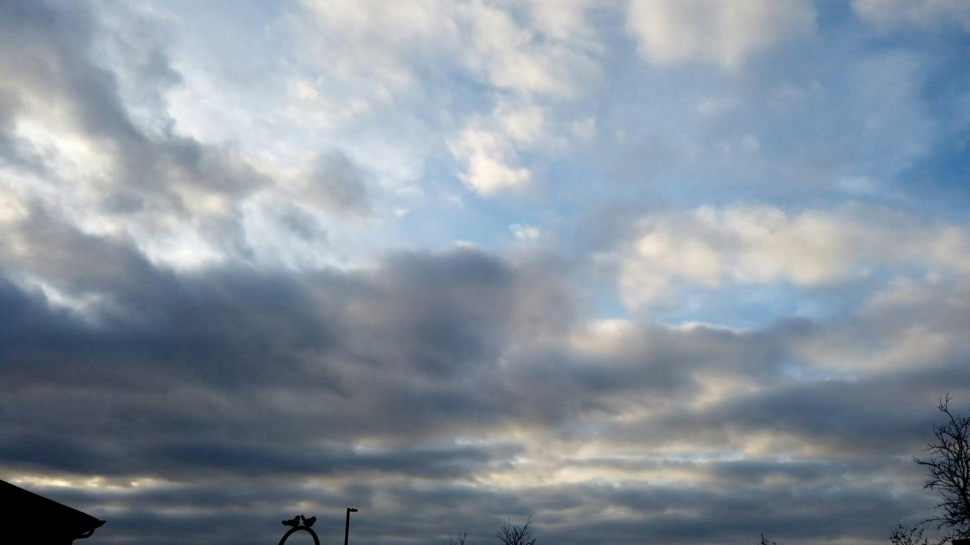 Video by Viktoria B.