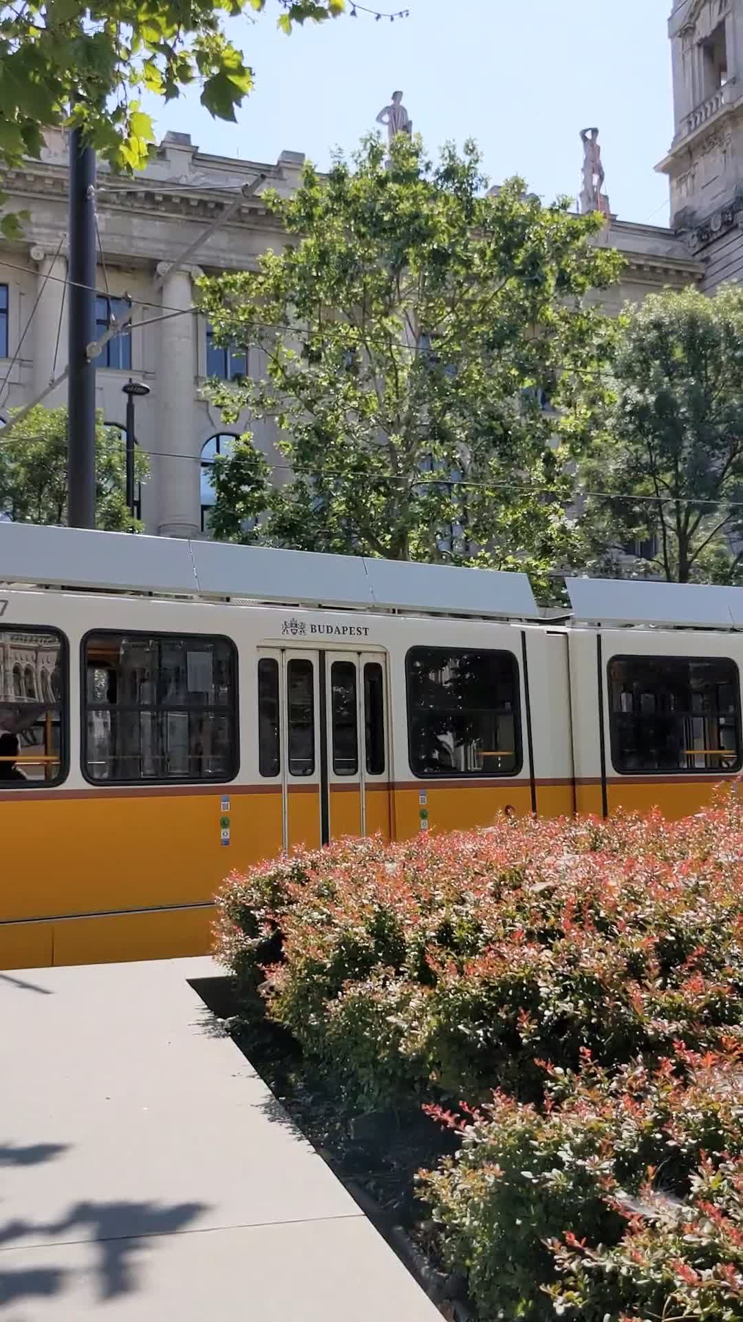Historic Tram Passing by Majestic Building Free Stock Video Footage ...