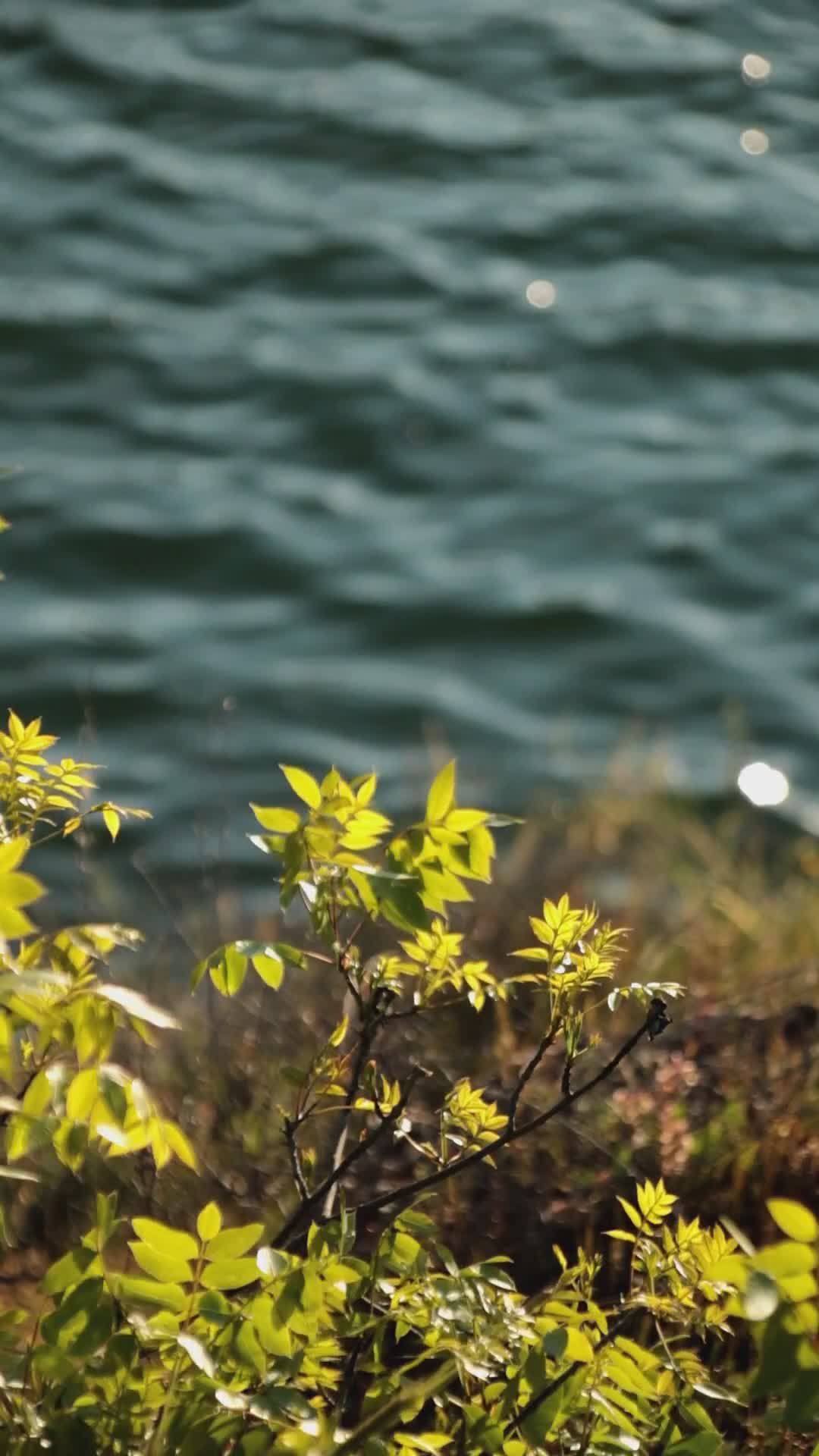 Video by Umut Gültekin