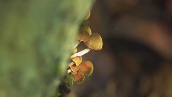 视频素材预览