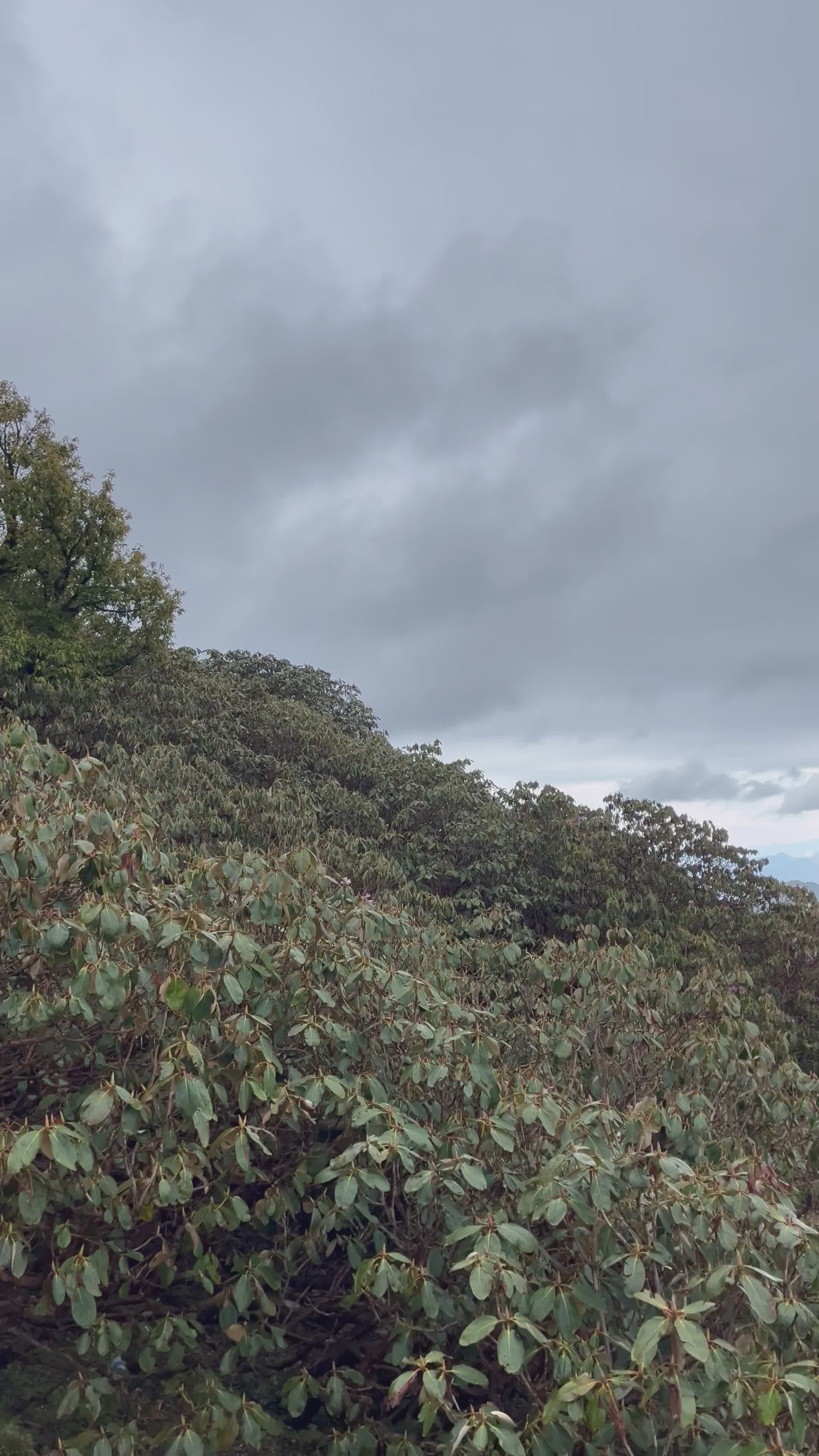 週末はここへ
🎥 Neha Gupta · Pexels
#日本 #旅行 #絶景 #風景 #japan