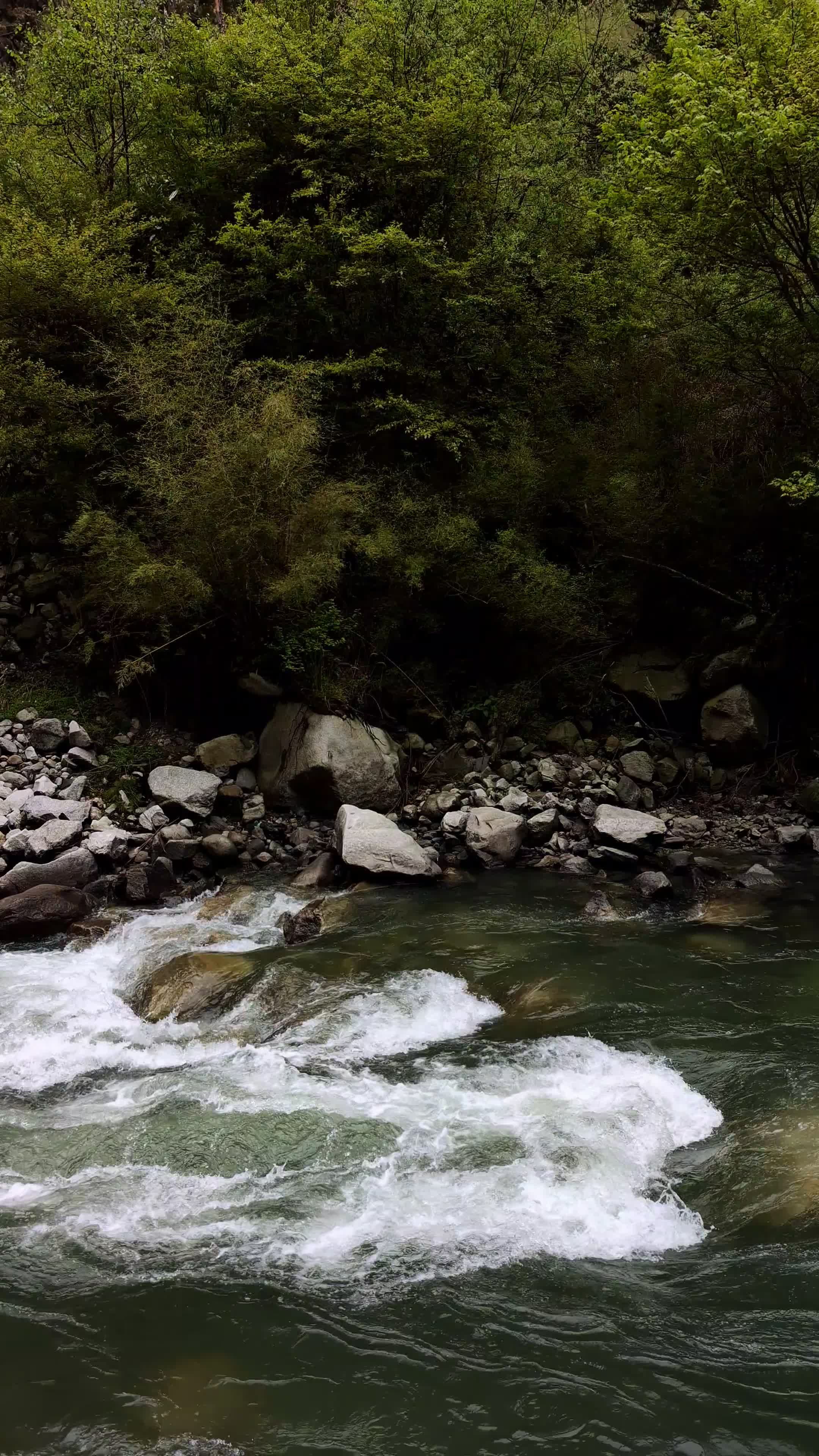 rushing river in serene forest landscape 37907229 — free pexels stock footage
