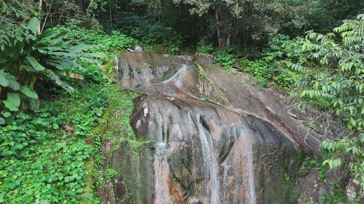 Tranquil Waterfall in Lush Green Garden Free Stock Video Footage ...