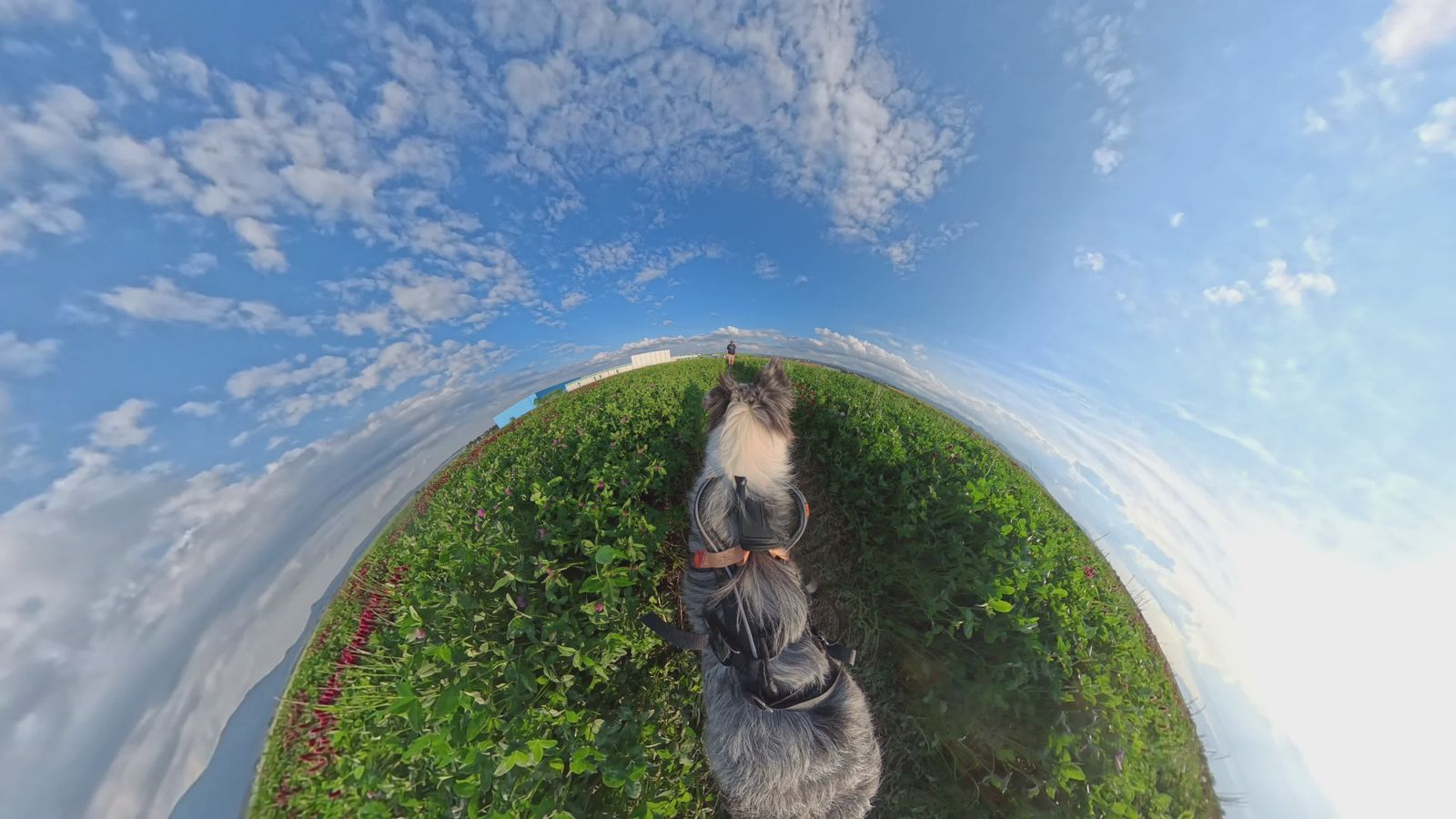 360 Video Videos, Download The BEST Free 4k Stock Video Footage & 360 ...