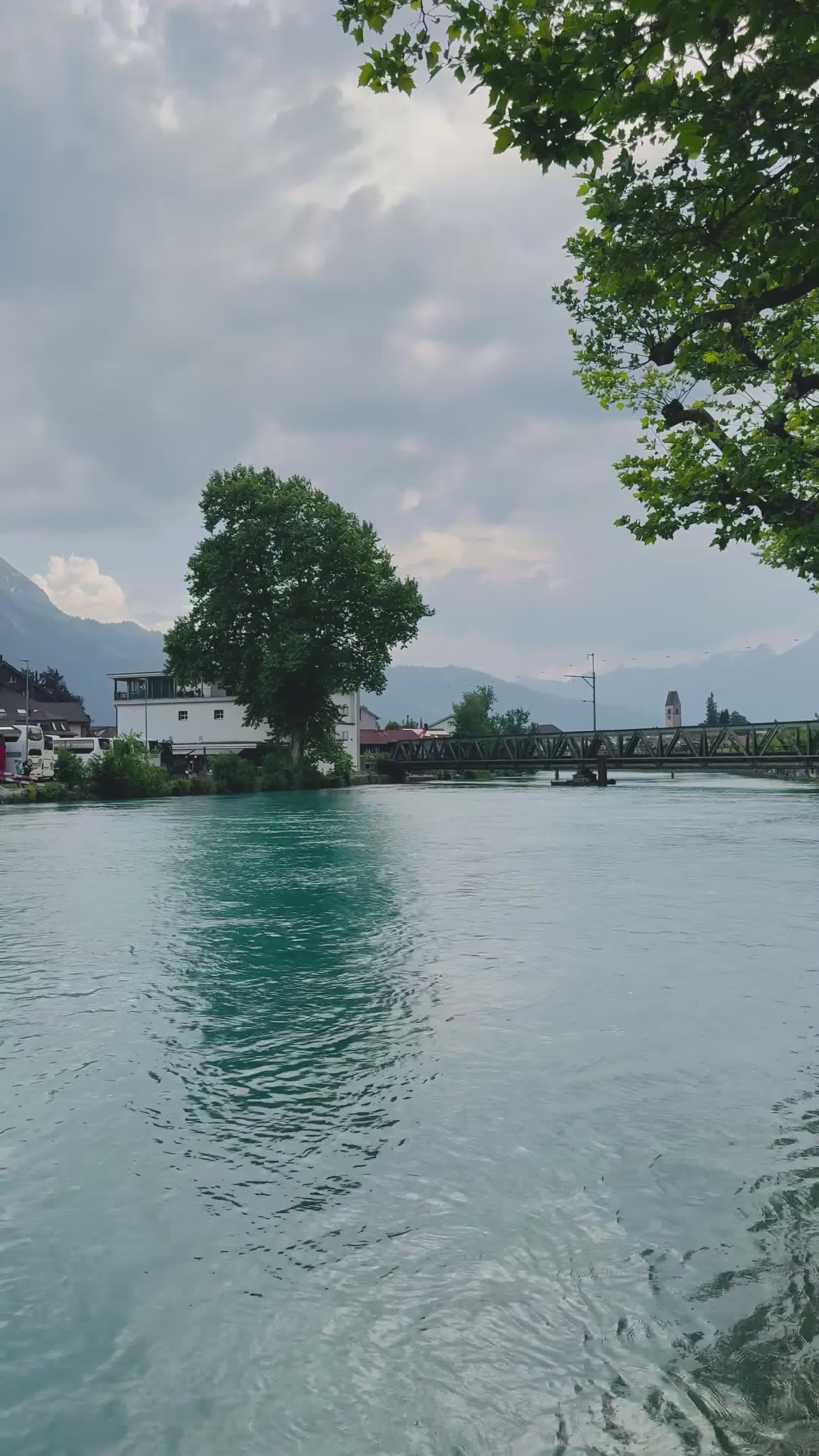 Scenic Lake with Trees and Mountains View Free Stock Video Footage ...