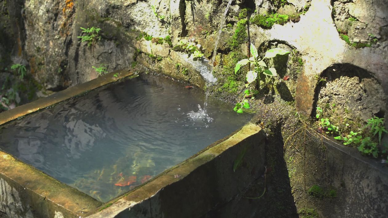 有关@户外, 4k 自然, moss, mountain spring, natural spring water, running ...