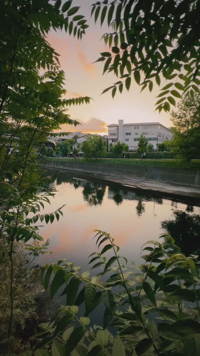 mohcen cherifi's nature timelapse video